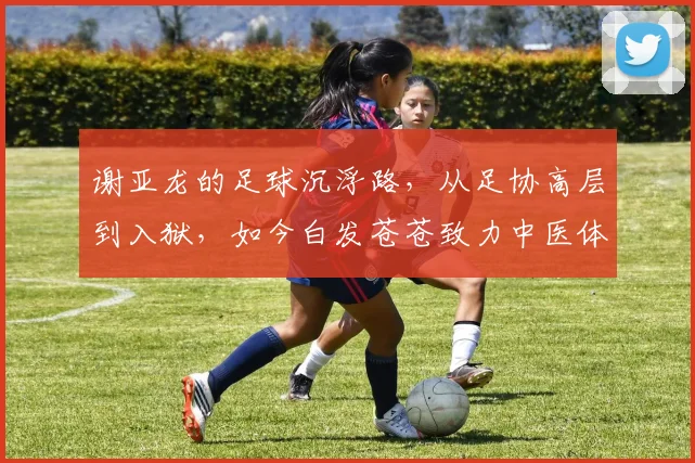 谢亚龙的足球沉浮路，从足协高层到入狱，如今白发苍苍致力中医体育康复